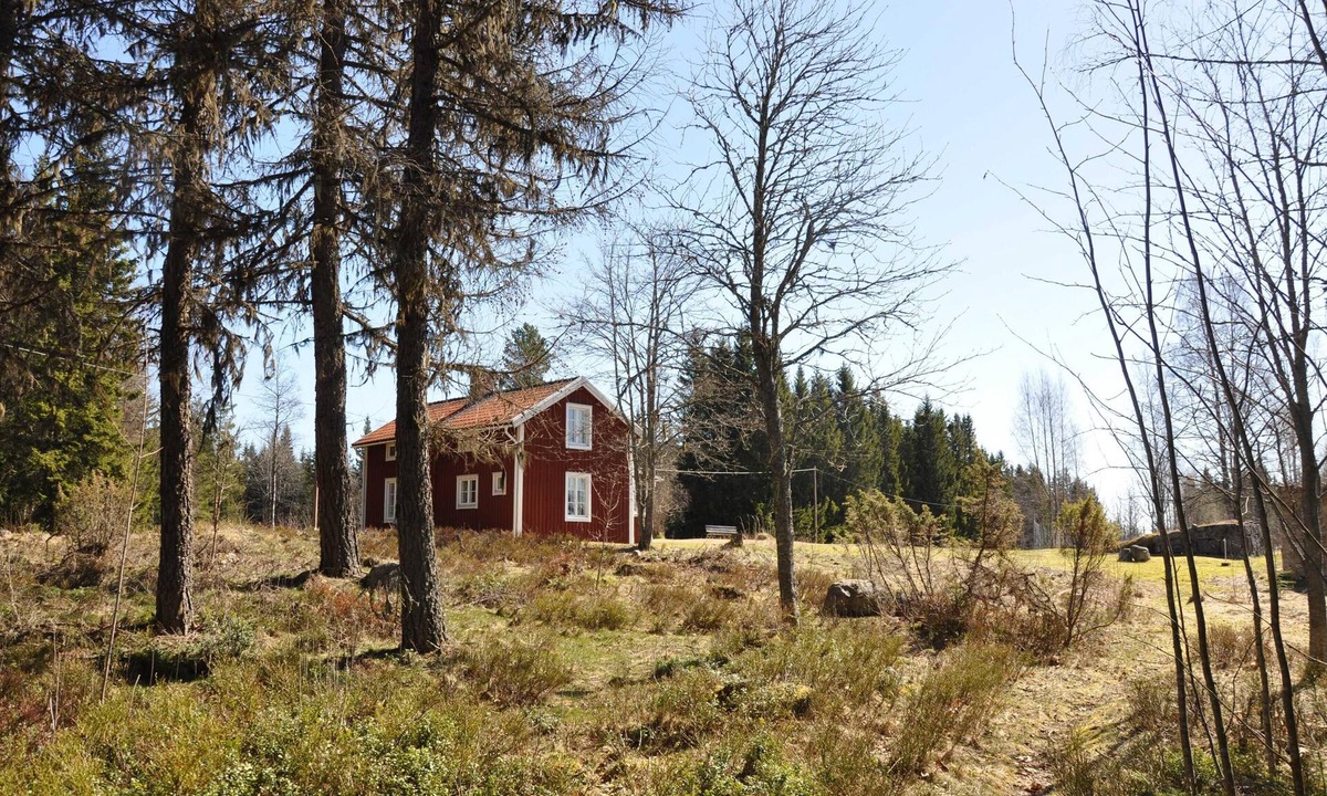 Amotsbruk Cottage | Cottage with access to silence, only nature's own sounds.
