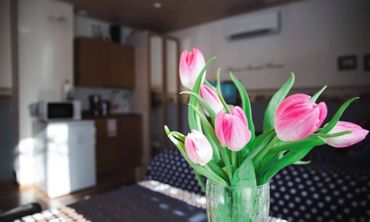 Kokkola Apartment | Cozy and quiet studio 10 minutes from the center of Kokkola.