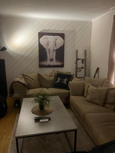 Tromsdalen Apartment | Cozy apartment with a lovely view