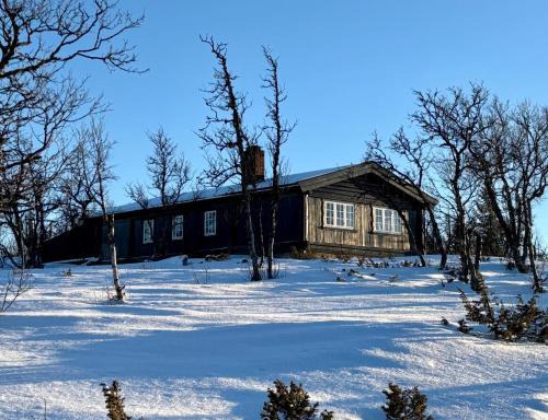 Uvdal House | Cozy cabin near Geilo & Dagali terrace, grill, fireplace, view & WiFi
