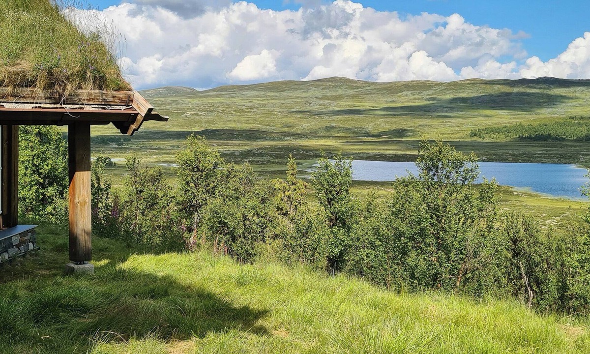 Nore og Uvdal House | Cozy cabin with a beautiful view