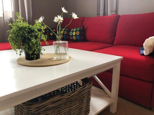 Vradal Apartment | Cozy holiday apartment in the heart of Vrådal!