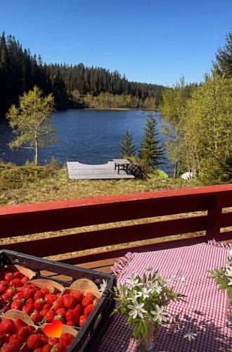 Skaun House | Cozy lakeside cabin in Trøndelag