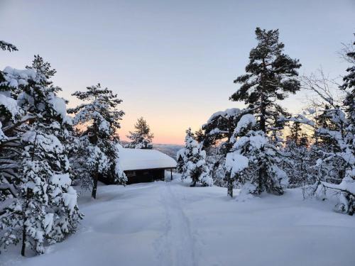 B House | Cozy Private Holiday Home On Lifjell
