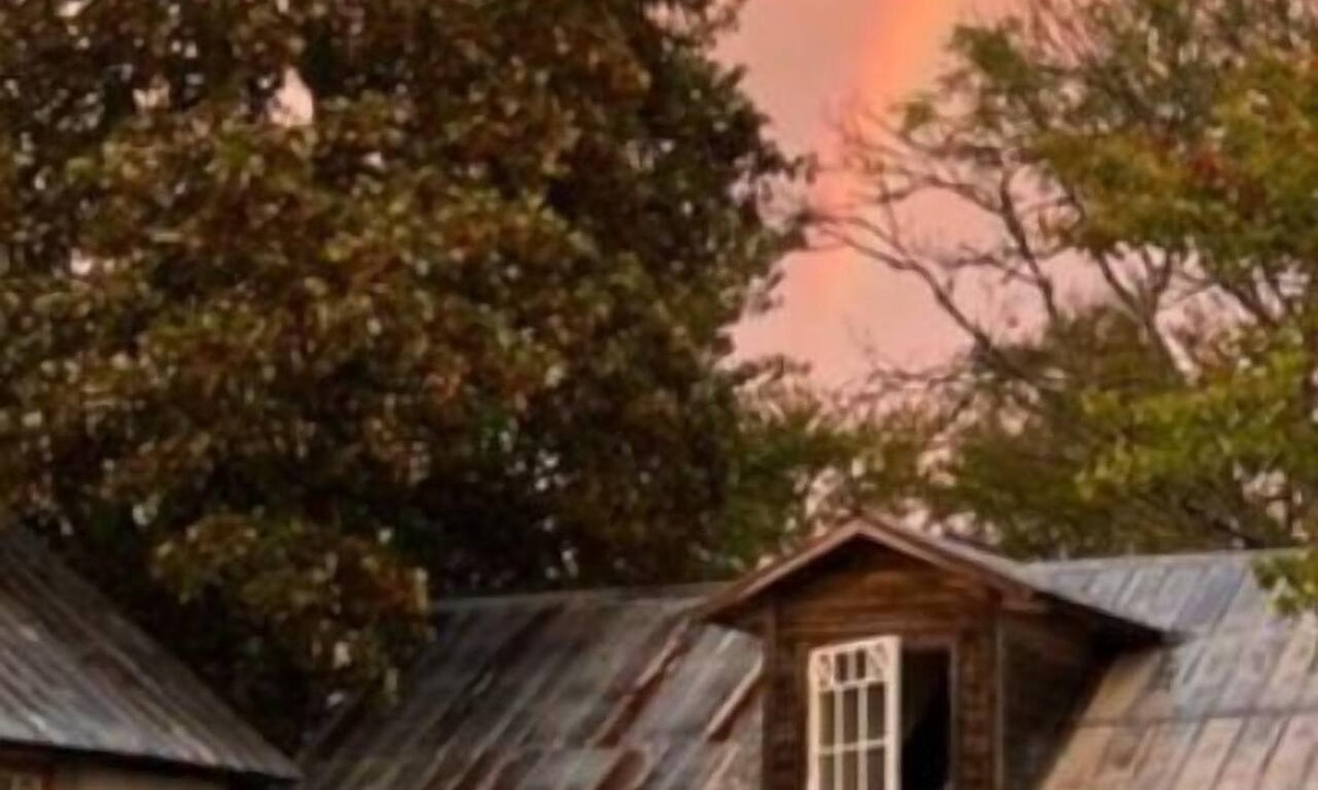 Burgsvik House | Cozy vacation home in sunny southern Gotland with a large garden, sauna, and much more.