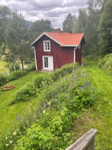 Langav House | Dalby Röd