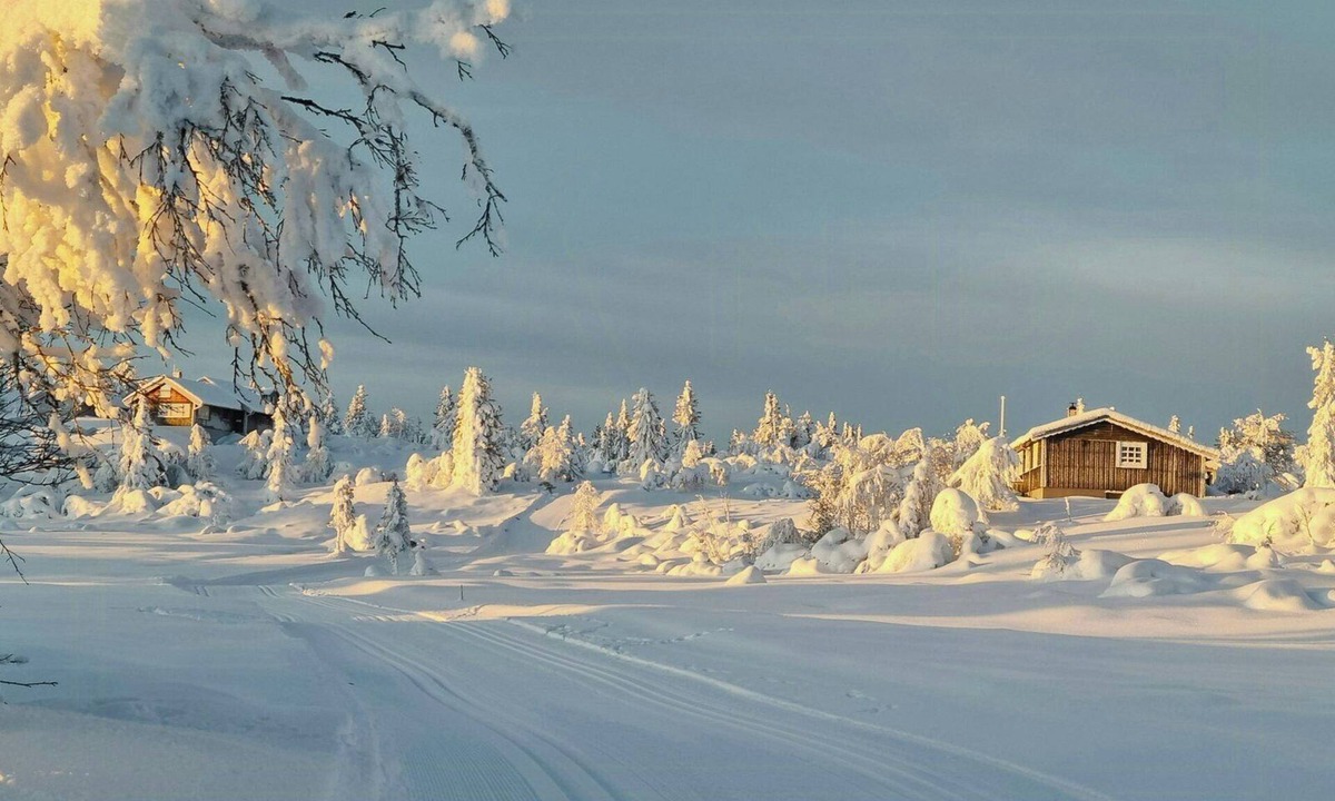 Sor-Aurdal House | Family cabin with firepit at Søndre Fjellstølen
