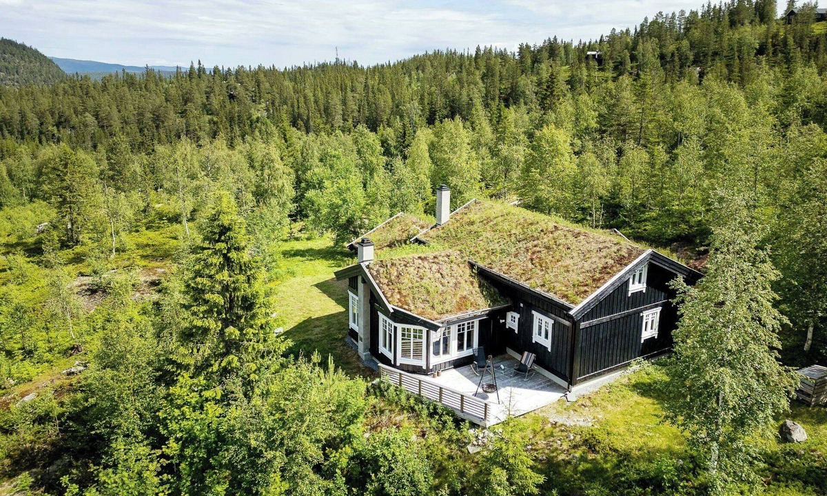 Ringerike Municipality House | Family cabin with panoramic view near Vikerfjellet