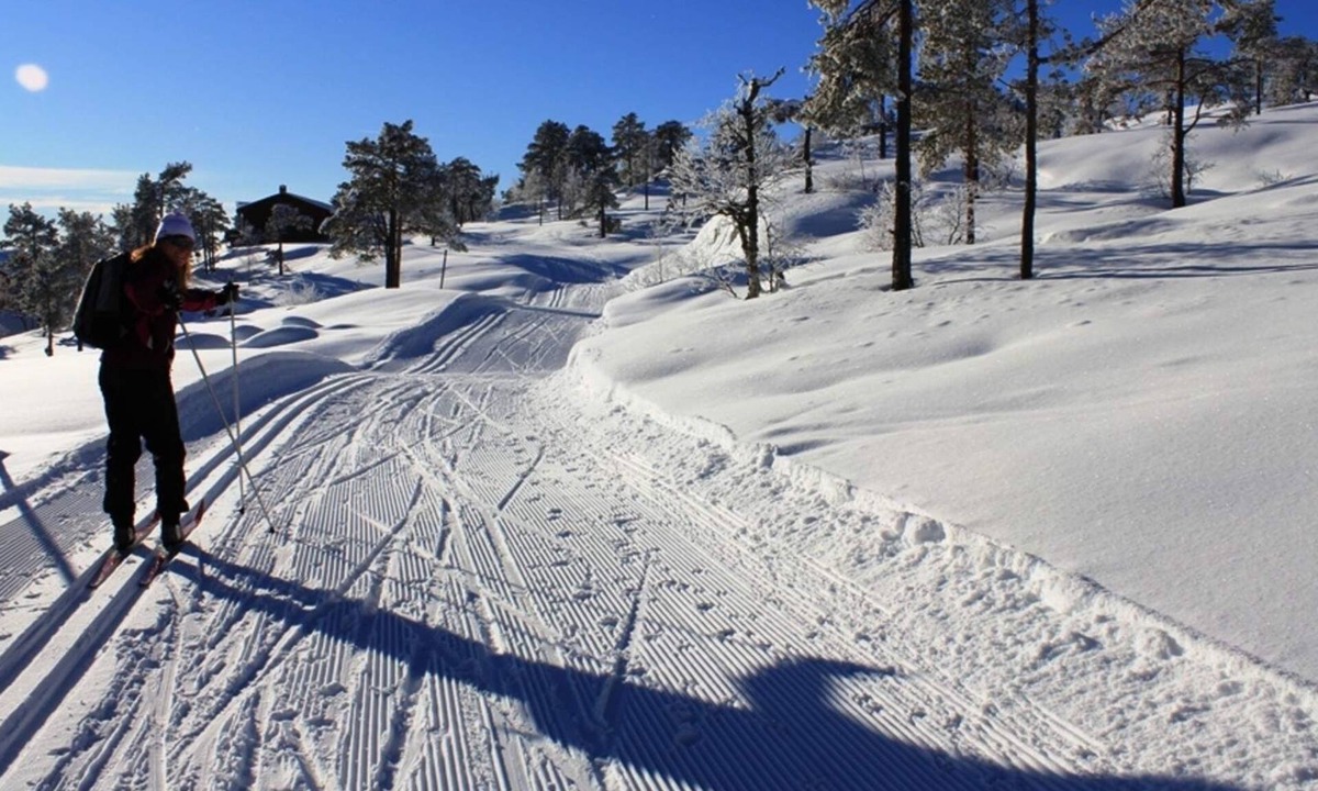 Treungen Cottage | Family-Friendly Cabin Near Ski Slopes and Trails. Sleeps 12