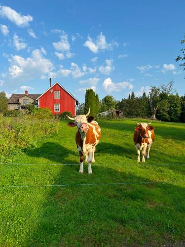 Ulricehamn House | Farm Stay Between Forests and Meadows