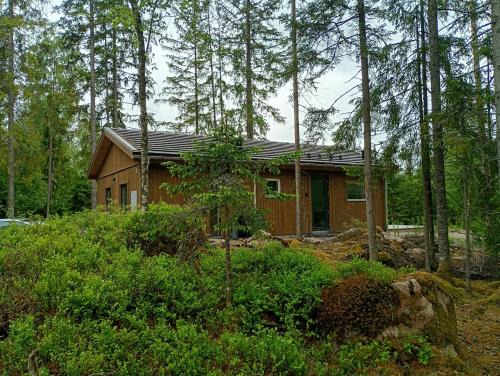Vislanda House | Ferienhaus Seenähe Aäng 6a
