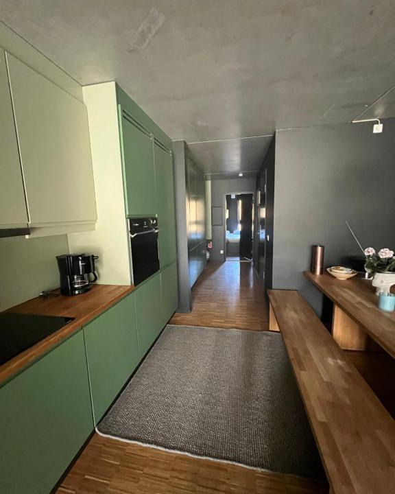 Skeikampen Apartment | Fin leilighet ca 30 min med bil til Hunderfossen