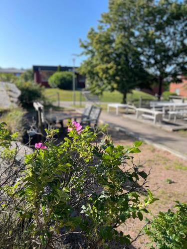 Lysekil Hostel | Fjord Lägenheter & Hostel Rooms