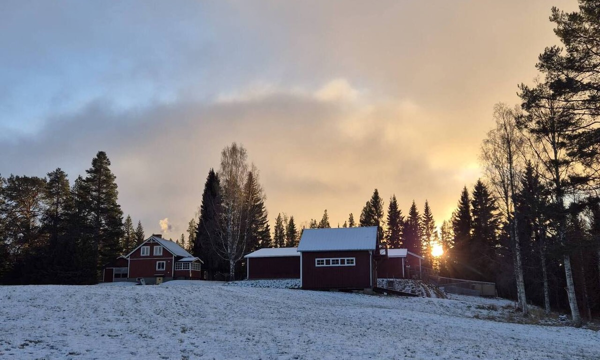 Faker House | Forest idyll in Jämtland — pure peace & nature