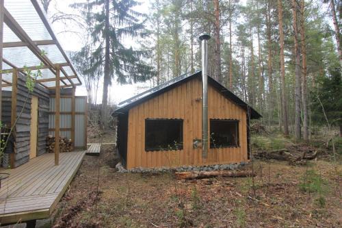 Asele House | Forest Shed