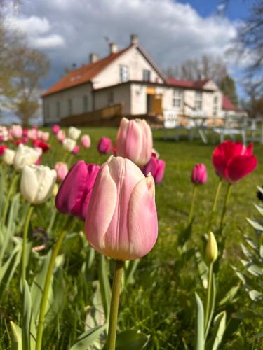 Helsingborg Bed & Breakfast | Fredriksborg Helsingborg