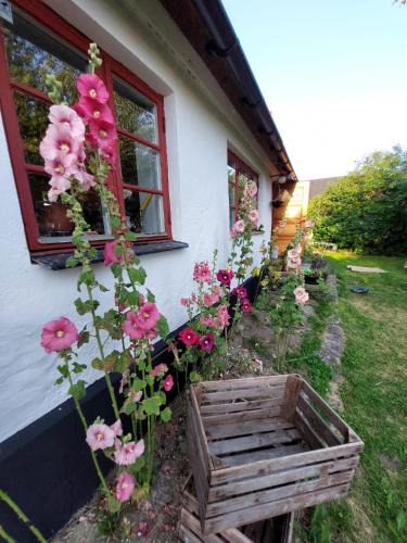 Listarum House | Fridfullt sommarhus mitt på Österlen