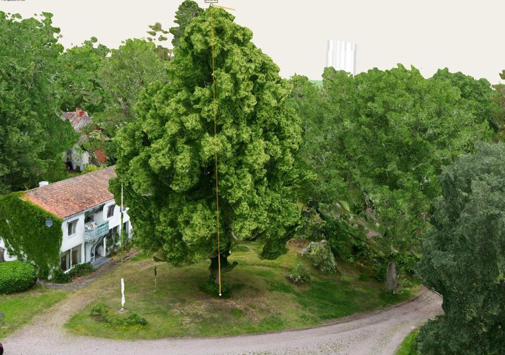 Gamleby Hostel | Fridhem Ullevi