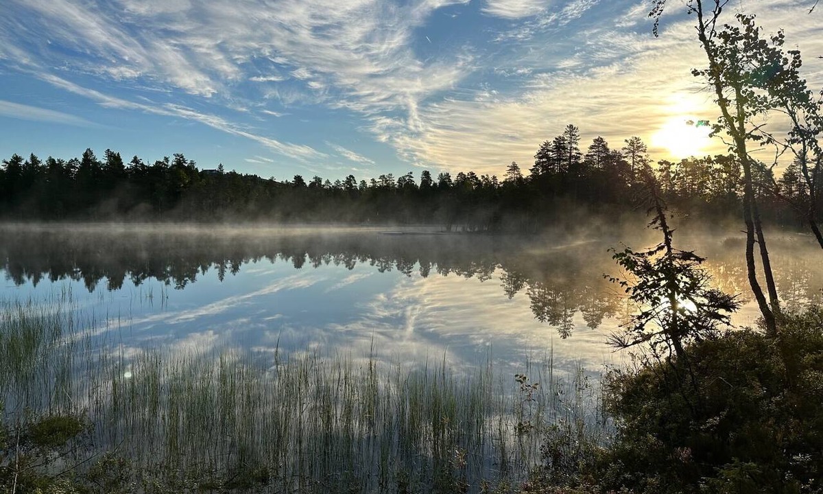 Fryksas Hotel | Fryksås Hotell & Gestgifveri