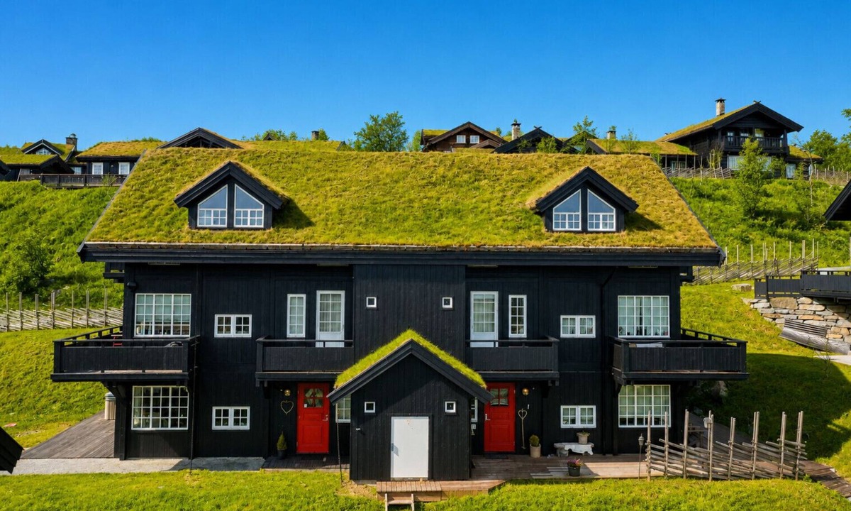 Hol Municipality Apartment | Fully equipped ski-in/ski-out apartment at Kikut, Geilo