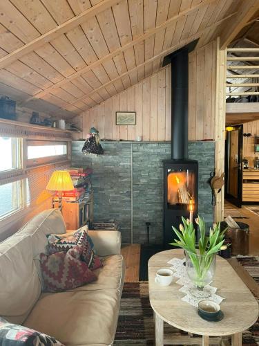 Al Municipality House | Furuly Cabin At Sangefjell, Peace And Nature