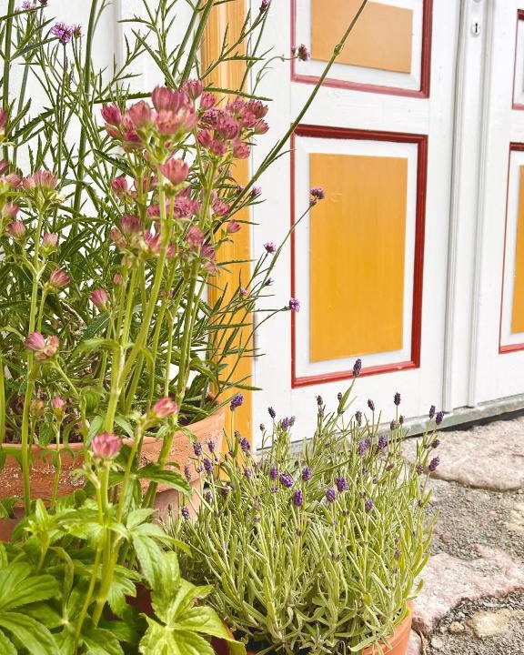 Lottorp Bed & Breakfast | Gårdsfrun B&B