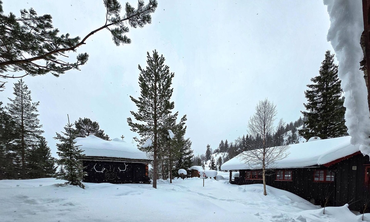 Seljord House | Gorgeous home in Flatdal with sauna