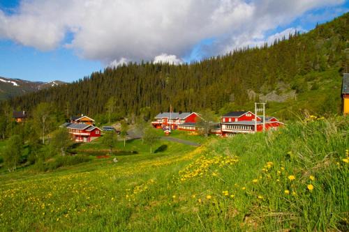 Oystre Slidre Hotel | Grønolen Fjellgard
