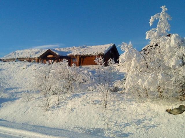 Hol Municipality Cabin | Hakkesetstølen Hytter