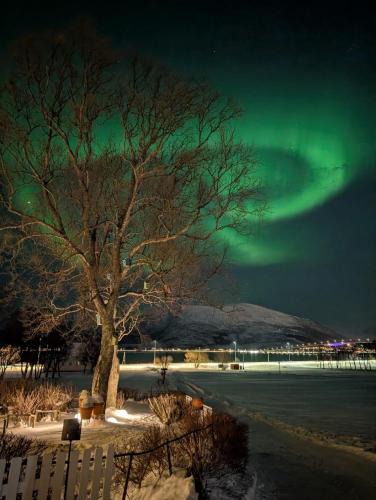 Sortland Apartment | Hammergaarden - Kårstua - Panoramic Arctic Stay