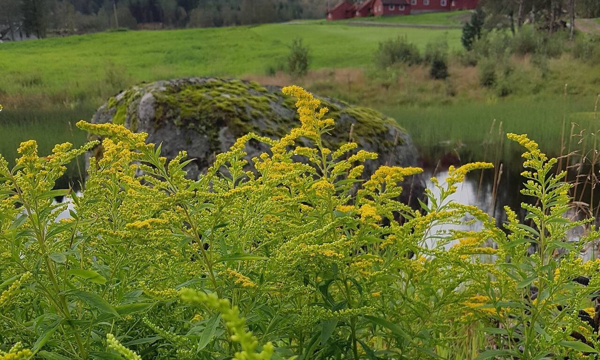 Haegebostad House | Heddan Gard Gjestegard
