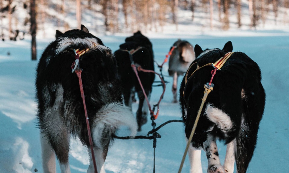 Geilo Apartment | Highland Lodge Fjellandsby