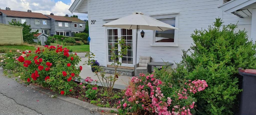Kristiansand Apartment | Highly recommended Apartment Trymsvei