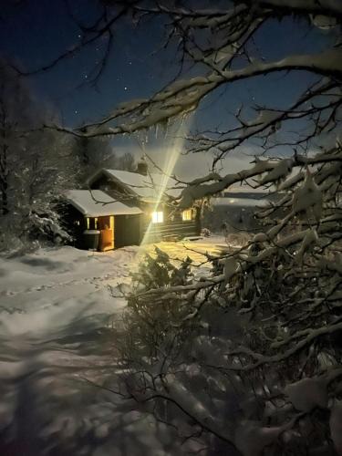 Oystre Slidre House | Historic Log Cabin With Views Of Jotunheimen