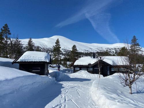 Vikberget House | Hito - cabin between Flå and Eggedal