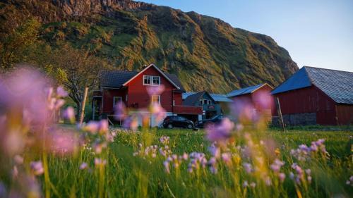 Stadlandet Hostel | Hoddevik Surf House