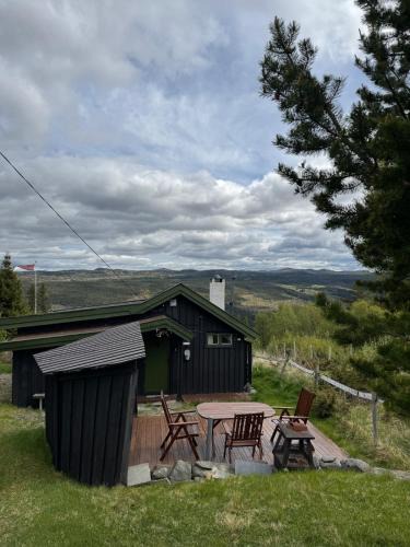 Nes House | Høgbu - Historical Cabin with spectacular view - beautiful nature - 15 minutes from skiing resort