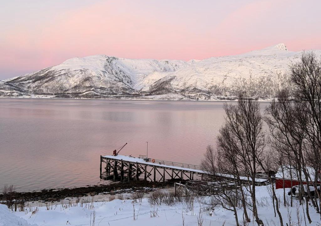 Tromso House | House by the Fjord - Sauna, Sea View & Northern Lights