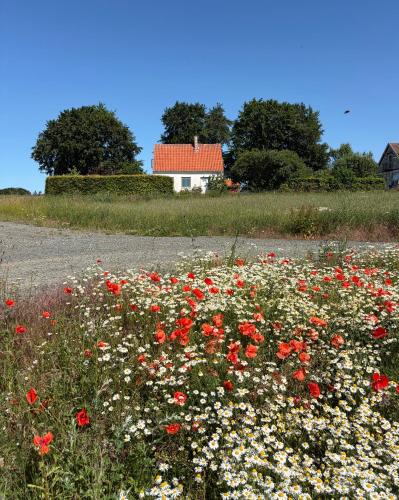 Tomelilla House | House in beautiful Österlen