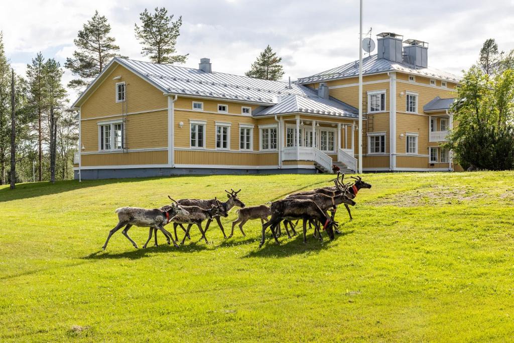 Rukatunturi Resort | House of Northern Senses