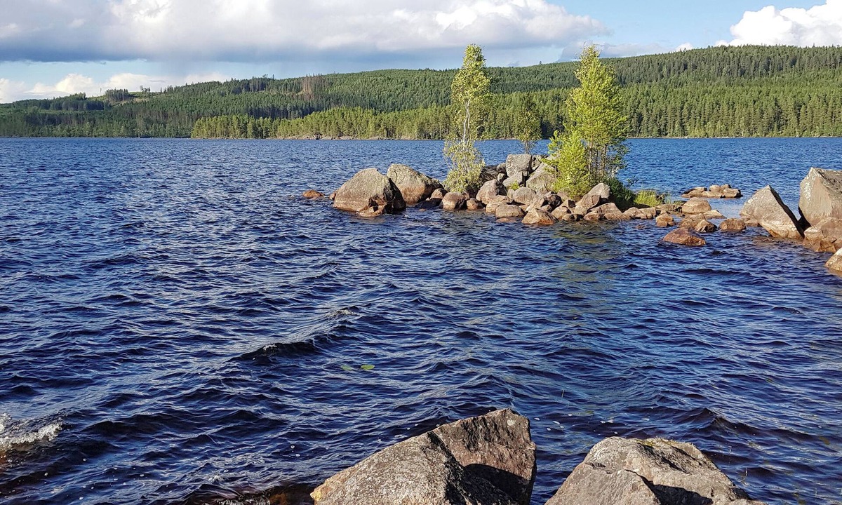Stollet Villa | Hus Klarälven on river Klarälven with office for business, pet friendly