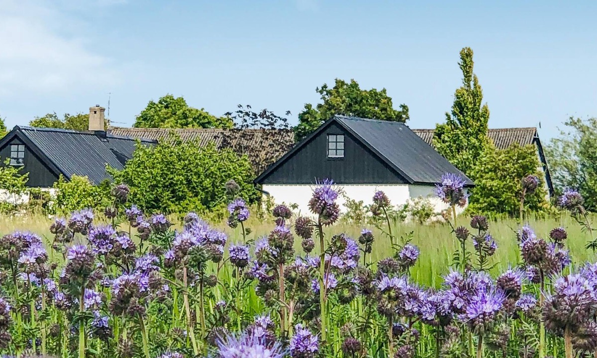 Kopingebro House | In an idyllic location in the Skåne countryside, this charming vacation home welcomes you.