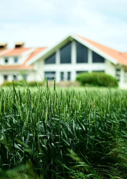 Vessigebro House | Katrinebergs Folkhögskola B&B