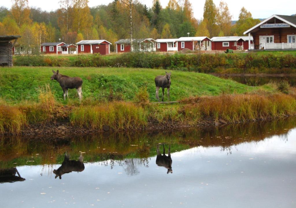 Stollet Other | Klarälvens Camping