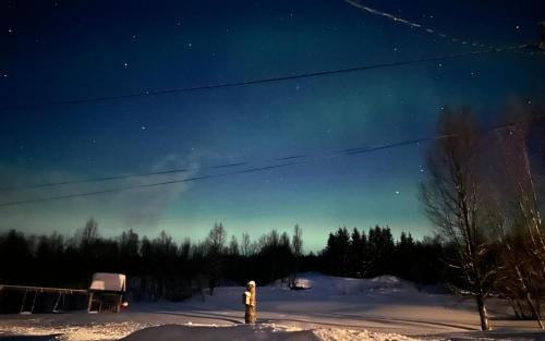 Balsfjord House | Koselig hytte med mulighet for nordlys og leie av badestamp