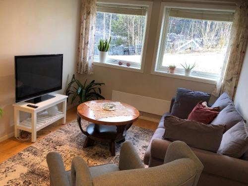 Atra Apartment | Koselig leilighet i Austbygde med Wifi
