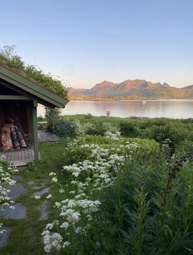 Flakstad Apartment | Koselig studio i Lofoten - ved Rambergstranda