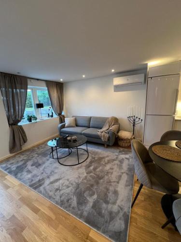 Vastra Frolunda Apartment | Lägenhet nära badplatser, Önnered