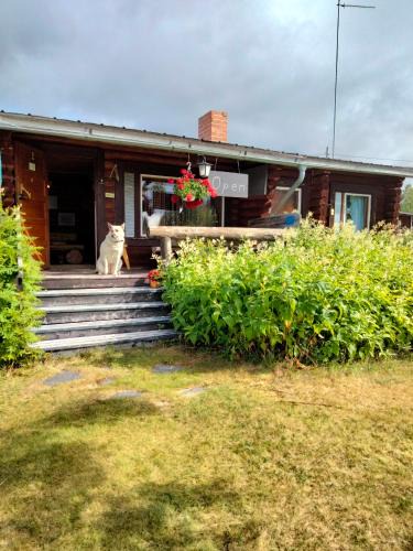 Enontekio Other | Lätasenonmajat