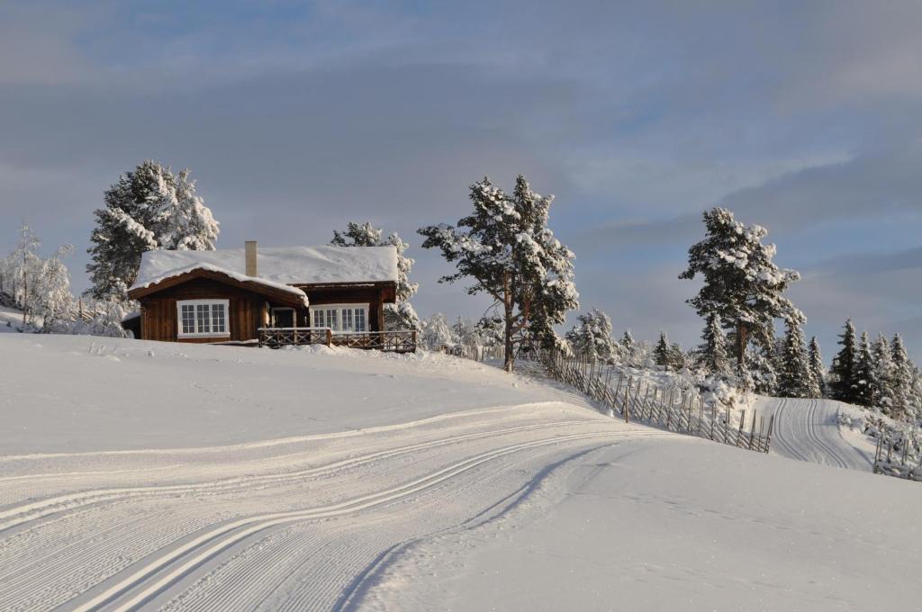 Gol Municipality House | Løstegård hytter at the top of Golsfjellet